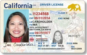 Buy California Driver's License Online