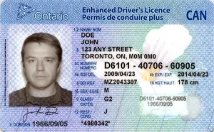 Buy Canadian Driver's License Online