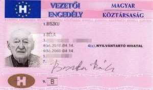 Buy Hungarian Driver's License Online